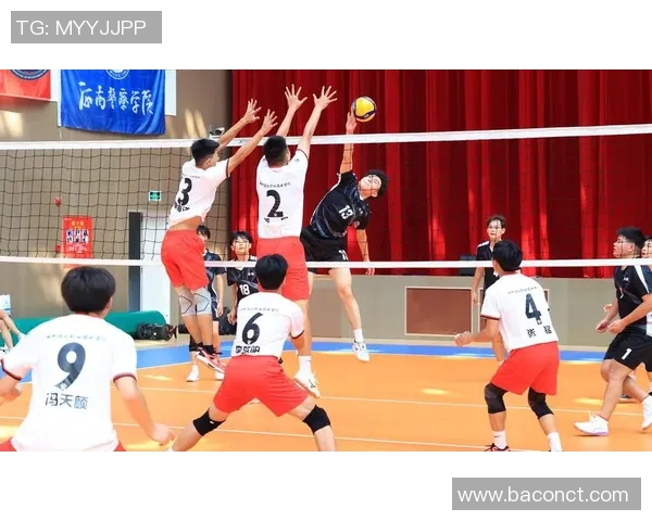 杭州排球队的奋斗与荣耀:一段不平凡的排球纪实之旅 杭州排球队的奋斗与荣耀:一段不平凡的排球纪实之旅