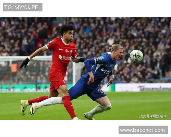 布赖顿主场迎战加的夫城力争三分巩固联赛地位