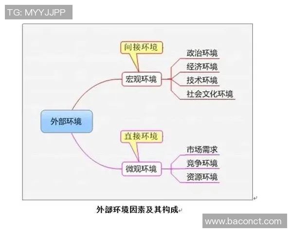 赖斯的外交智慧与全球战略影响力分析与展望