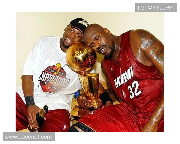 韦德在06季后赛对阵篮网的精彩表现与传奇时刻回顾